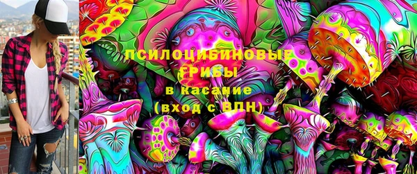 индика Снежногорск