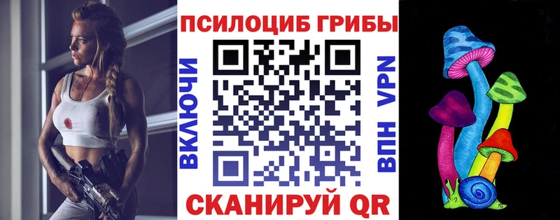 Галлюциногенные грибы Psilocybe  Дальнегорск 